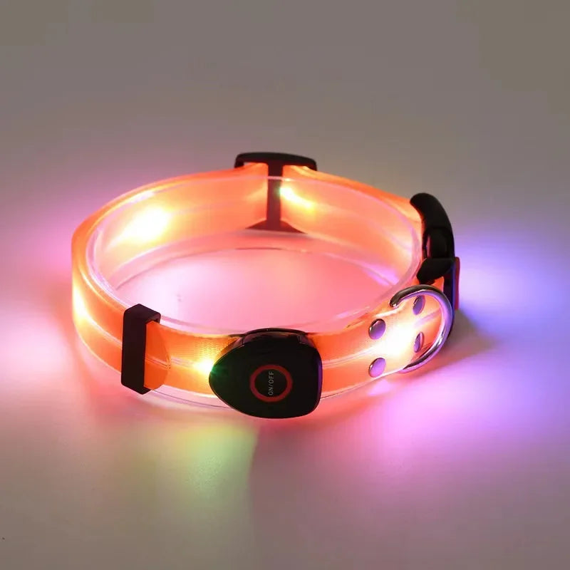 Collier Lumineux LED pour Chien – Sécurité de Nuit | USB Rechargeable & Ajustable