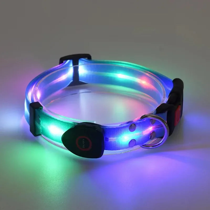 Collier Lumineux LED pour Chien – Sécurité de Nuit | USB Rechargeable & Ajustable