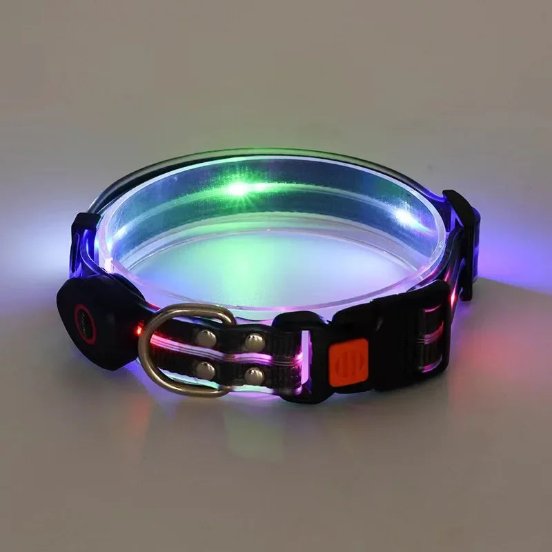 Collier Lumineux LED pour Chien – Sécurité de Nuit | USB Rechargeable & Ajustable