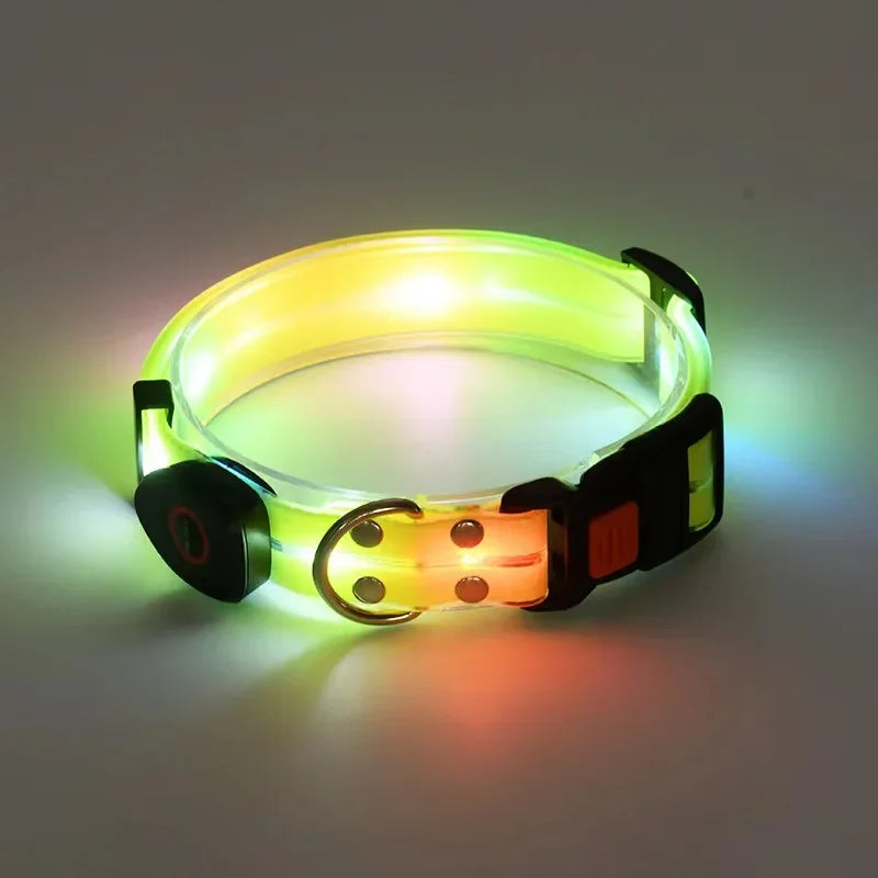Collier Lumineux LED pour Chien – Sécurité de Nuit | USB Rechargeable & Ajustable
